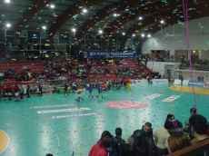 Coreografia adequada por Ivo Fernendes