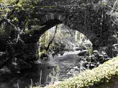 Ponte Nova, Orbac�m