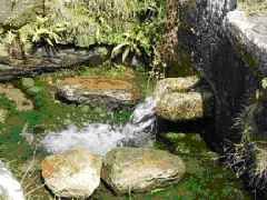 Fonte de Bou�a-M�, Orbac�m