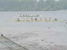 Traineira da Guarda e Shell 8