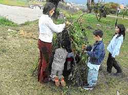 Associação Juvenil de Vila Fonche
