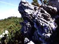 Exposição Fotográfica