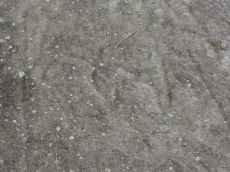 Figuras zoom�rfica