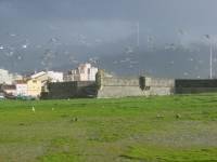 Forte da Lagarteira, V. P. �ncora