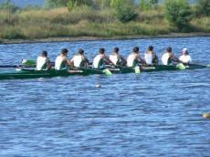 Shell 8 HPL Fluvial Portuense