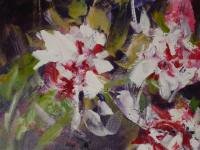 �leo de D�lia Teixeira