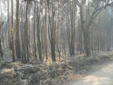 EN301 V. Mouros - Argela