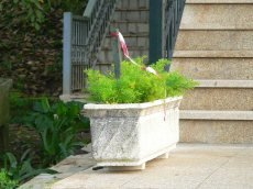 Obra em Gouvim afectar� casa