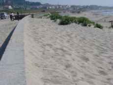 Ambiente quer proteger duna