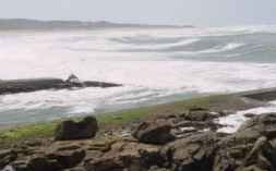 Abertura Propostas Portinho V.P.�ncora: 3/JUL