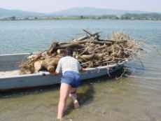 Carregamento de madeira...