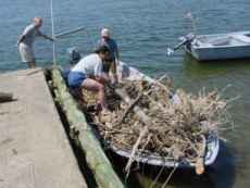 ...trazido para o cais de S.Sebasti�o