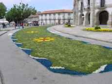 Em frente � C�mara