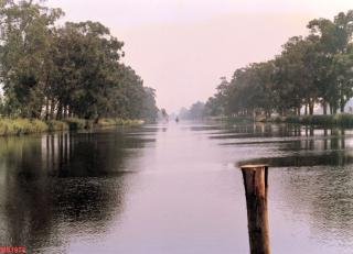 Autor da Fotografia: M�rio Ferreira da Silva 