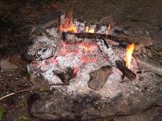 Loureiro (no primeiro dia)...lenha seca...