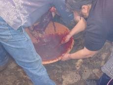 ...cai para o alguidar