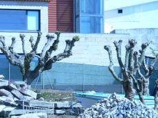 Espa�o livre por detr�s da Ludoteca