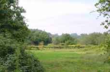 Liga��o Azevedo-Riba d'�ncora