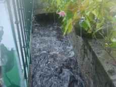 Rego foreiro atravessa casa particular