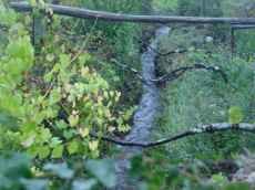 Rego foreiro no seu curso normal