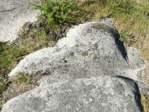 Sulco dos rodados dos carros em pedra