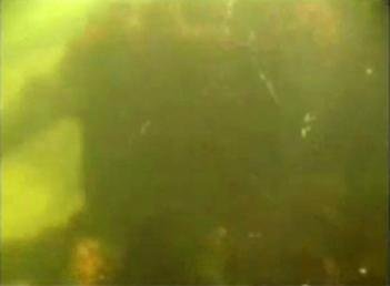 Vest�gios subaqu�ticos Antinous AQUA CLUBE 2008