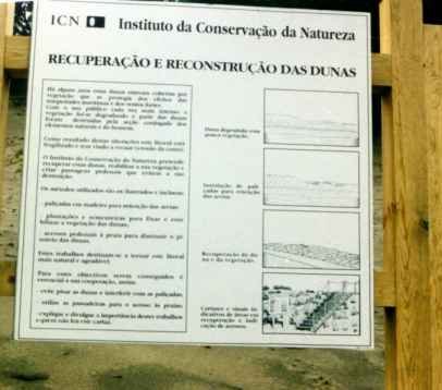 1995 � Recupera��o da duna dos caldeir�es