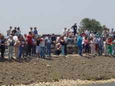 Assist�ncia incita