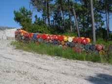 Bid�es n�o s�o recolhidos