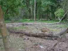 ...para Parques de Campismo