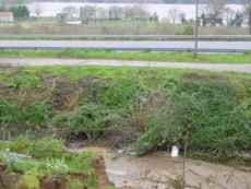 Regueiro paralelo � N13